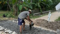 IMG-20240514-WA0142