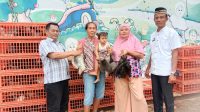 IMG-20240605-WA0014
